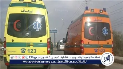 مصرع 7 أشخاص في تصادم واحتراق ميكروباص بطامية في الفيوم