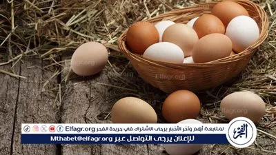 سعر كرتونه البيض الابيض والأحمر والبلدى اليوم الأحد 21ديسمبر 2025 فى المنيا