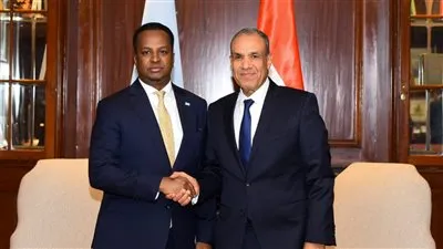 مباحثات مصرية-صومالية حول سبل تعزيز الشراكة ودعم الأمن والاستقرار