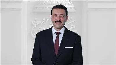 النائب محمد رزق: تعديل قانون الكهرباء خطوة حاسمة لحماية المال العام وحقوق المواطنين