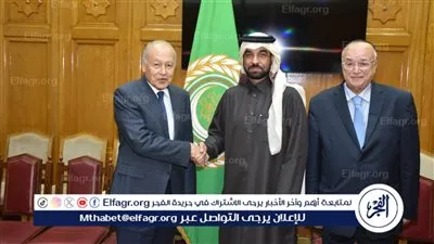 الشبكة العربية للمؤسسات الوطنية لحقوق الإنسان تكرّم أحمد أبو الغيط