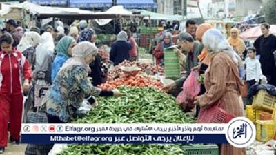 أسعار الخضروات اليوم الإثنين 22-12-2025 في الأقصر