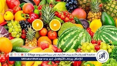 اسعار الفاكهه اليوم الثلاثاء 23ديسمبر 2025 فى المنيا 