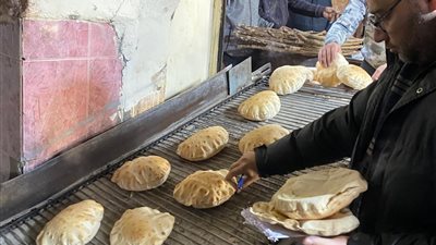 تحرير 15 محضرًا متنوعا في حملة رقابية على 22 مخبزًا بأربعة مراكز بالدقهلية 