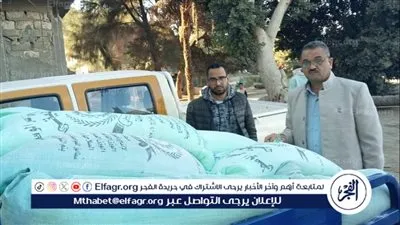 ضبط دقيق بلدي مدعم قبل تداوله بالسوق السوداء وتحرير 282 محضرًا تموينيًا فى أسيوط 