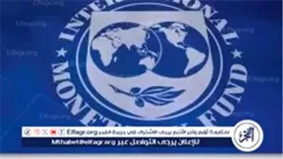 عاجل- صندوق النقد الدولي يشيد بسياسة البنك المركزي المصري النقدية المتشددة ودعم النمو الاقتصادي