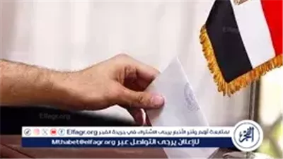 عاجل- بدء الصمت الانتخابي بجولة الإعادة للدوائر الـ19.. غرامة تصل إلى 100 ألف جنيه للمخالفين