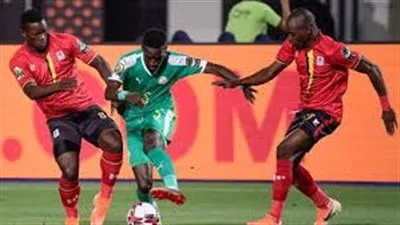 يلا كووورة.. تونس تفتتح مشوارها بأمم إفريقيا 2025 أمام أوغندا.. الموعد والقنوات الناقلة