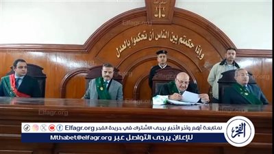 إحالة للمفتي.. الحكم علي عاطل قام بخطف طفله وهتك عرضها في البحيرة