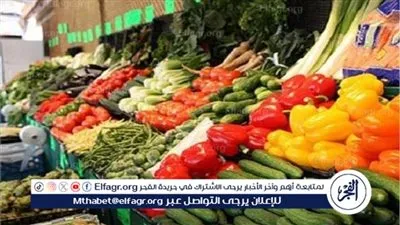أسعار الخضار اليوم الأربعاء بمحافظة الغربية