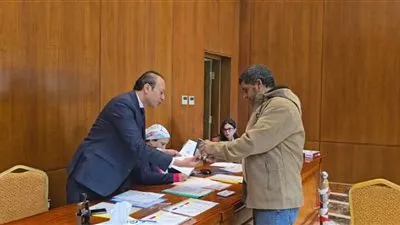 غلق باب التصويت في 4 سفارات وقنصليات بالخارج