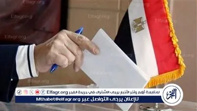 السفارات والقنصليات المصرية بالخارج تستقبل الناخبين للتصويت بانتخابات مجلس النواب في كندا والولايات المتحدة الأمريكية