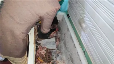 ضبط ما يقرب من طن لحوم غير صالحة للإستخدام الآدمي خلال حملات تفتيشية مفاجئة بشبين الكوم والباجور والسادات