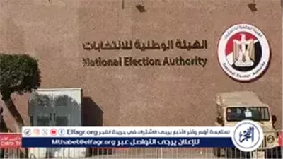الهيئة الوطنية للانتخابات تعلن نتيجة جولة إعادة انتخابات الدقهلية