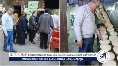 محافظ الدقهلية: ضبط 640 كيلو عسل ولحوم وتحرير 128 مخالفة