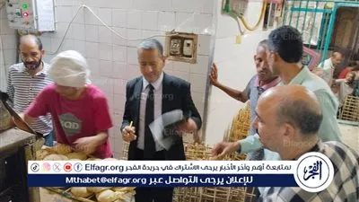 حصاد عام 2025 بتموين المنيا: حملات مكثفة وأسواق مخفضة لخدمة المواطنين