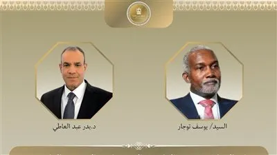 اتصال هاتفي بين وزير الخارجية ونظيره النيجيري لبحث تطورات الأوضاع الاقليمية