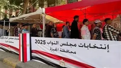 انتخابات مجلس النواب.. موعد إعلان النتيجة الرسمية لانتخابات الدوائر الـ19 الملغاة