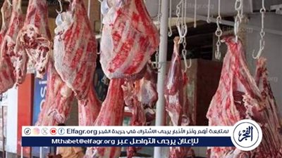 تعرف على أسعار اللحمة اليوم الأحد الموافق 28-12-2025 فى سوهاج 