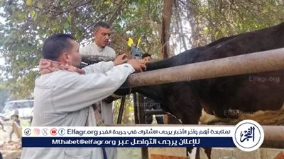 فحص وعلاج 422 حيوانًا و1200 طائر خلال قافلة بيطرية مجانية بالسنطة