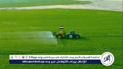 إنجازات الزراعة 2025.. طفرة في الصادرات وتعزيز الأمن الغذائي