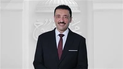 النائب محمد رزق يثمن موقف جامعة الدول العربية ضد اعتراف إسرائيل بـ«أرض الصومال»