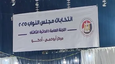 برلمان 2025.. اعلان نتيجة الحصر العددي للدائرة الثالثة بالبحيرة