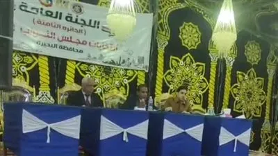 برلمان 2025.. اعلان نتيجة الحصر العددي للدائرة الثامنة بالبحيرة 