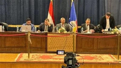 برلمان 2025.. اعلان نتيجة الحصر العددي للدائرة الأولى بالبحيرة