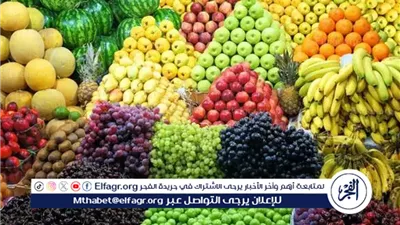 اسعار الفاكهه اليوم الإثنين 29ديسمبر 2025 فى المنيا 
