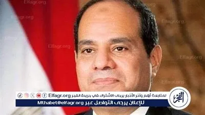 محافظ الفيوم يهنئ الرئيس عبد الفتاح السيسي بالعام الميلادي الجديد