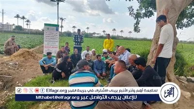 لزيادة انتاجية المحاصيل.. المدارس الحقلية وكيفية التكيف مع التغيرات المناخية بالبحيرة (فيديو)