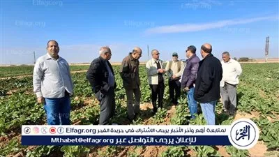 زراعة الإسماعيلية تواصل جهودها الميدانية لمتابعة زراعات بنجر السكر بالقصاصين الجديدة