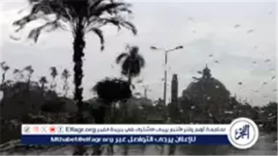 انخفاض جديد في درجات الحرارة غدًا.. شبورة كثيفة صباحًا وبرد قارس ليلًا على أغلب الأنحاء