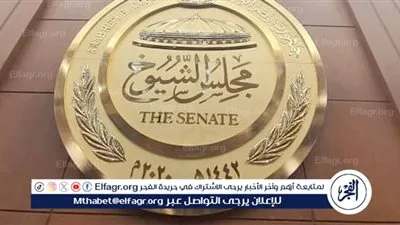 3 أيام حددتها الأمانة العامة لتسليم كارنيهات النواب الجدد.. تعرف عليها