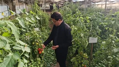 رئيس جامعة بنها يتفقد الوحدات الإنتاجية بكلية الزراعة بمشتهر