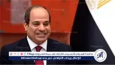 عاجل- الرئيس السيسي يوجه تهنئة خاصة للمصريين بالخارج بمناسبة العام الميلادي الجديد 2026