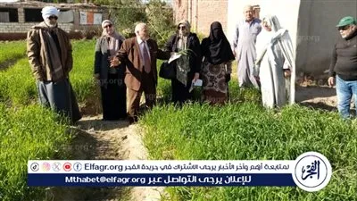 زراعة الإسماعيلية تتابع ميدانيًّا زراعات القمح بالقنطرة غرب ضمن الحملة القومية للمحصول