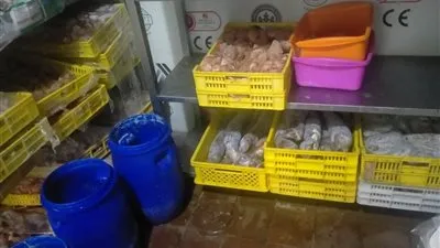 تموين الإسكندرية تضبط 500 كيلو لحوم مجهولة المصدر