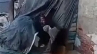 ضبط شاب بعد تداول فيديو اعتداء كلب على مسن بشبرا الخيمة