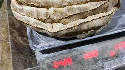 تحرير 13محاضر متنوعة في حملة رقابية على 22 مخبزًا بمركزي المنصورة وتمي الامديد