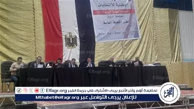 بدء الحصر العددي فى إعادة انتخابات مجلس النواب بالدائرة الأولى بأسيوط 