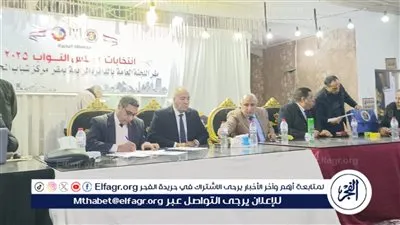 برلمان 2025.. نتيجة الحصر العددي بالدائرة الرابعة لإنتخابات مجلس النواب بالبحيرة