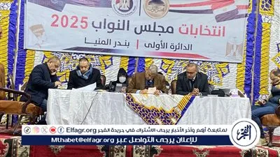 إعلان نتائج الحصر العددي للدائرة الأولى بالمنيا.. بالأسماء