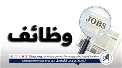 فرص عمل للشيفات وتخصصات أخرى بمرتبات تصل إلى 25 ألف جنيه.. التفاصيل وطريقة التقديم
