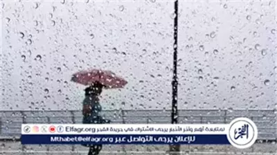 الطقس اليوم شديد البرودة.. شبورة كثيفة وصقيع بالصغرى 11 درجة بالقاهرة