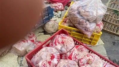 تموين القليوبية يضبط طن دواجن وبانيه مجمد دون بيانات في شبين