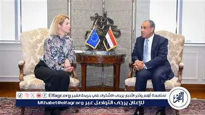 وزير الخارجية يبحث مع مسؤولة الاتحاد الأوروبي العلاقات والتطورات الإقليمية