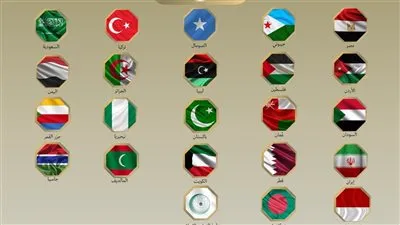 إدانة دولية لزيارة مسؤول إسرائيلي غير قانونية إلى أرض الصومال