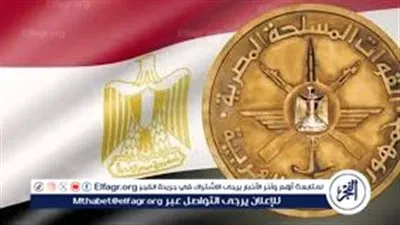 خبير استراتيجي: ضم شهداء ومصابي الحروب السابقة لصندوق التكريم رسالة وفاء من الدولة